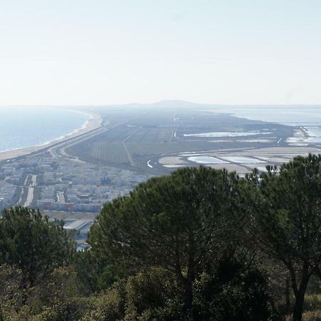 La Scribote Lägenhet Marseillan  Exteriör bild