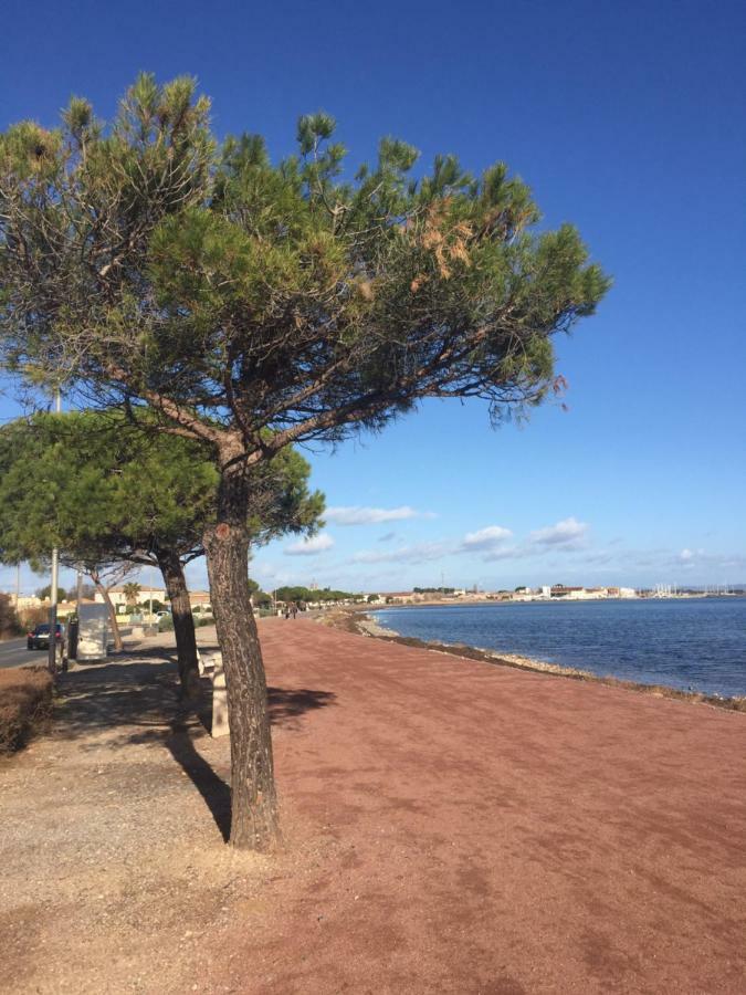 La Scribote Lägenhet Marseillan  Exteriör bild